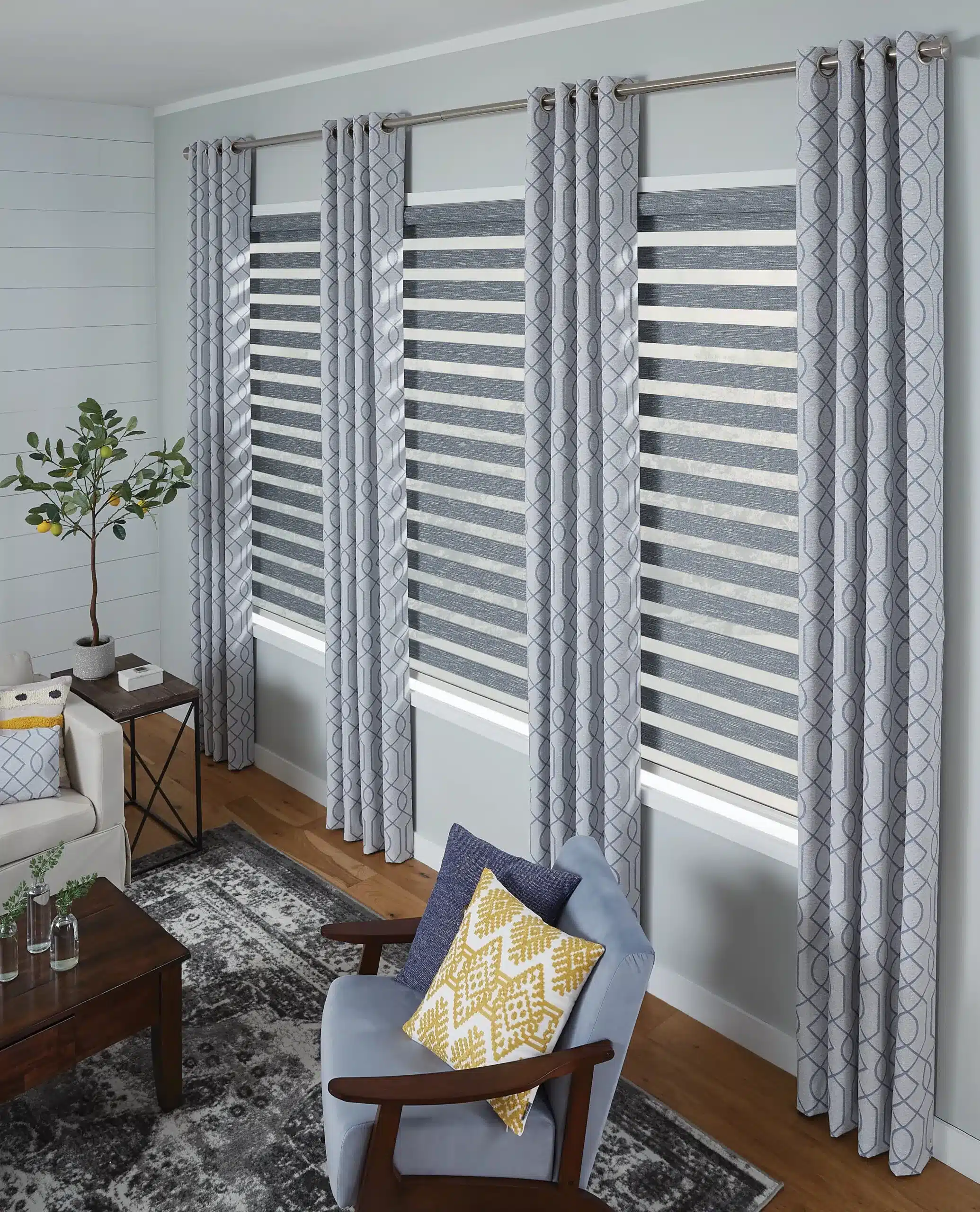 Blue Zebra Shades scaled (3)