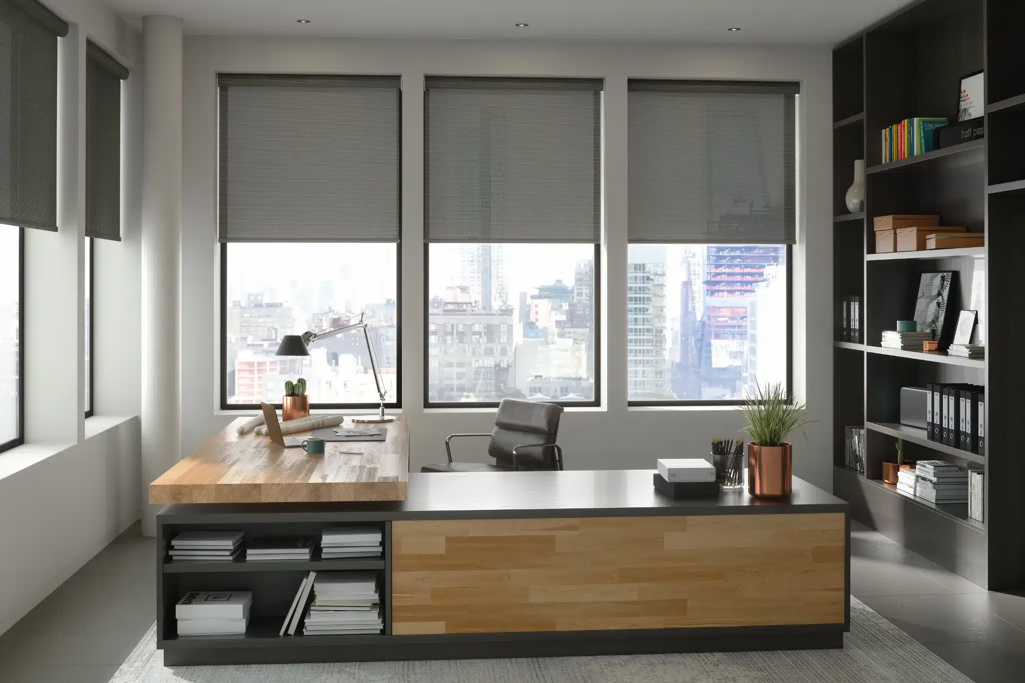 Solar Shades Condo View (3)