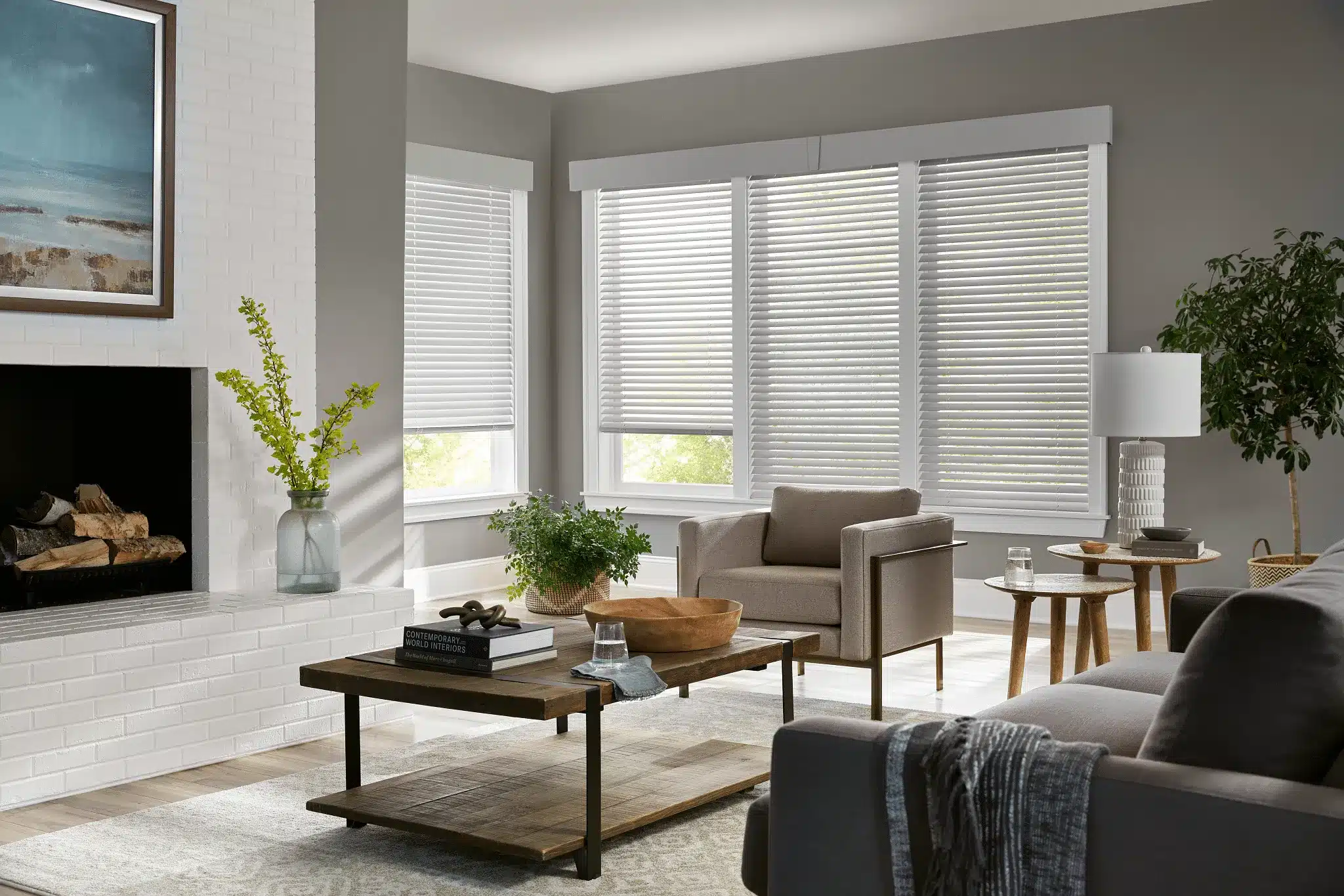 Wood Blinds Living Room (3)